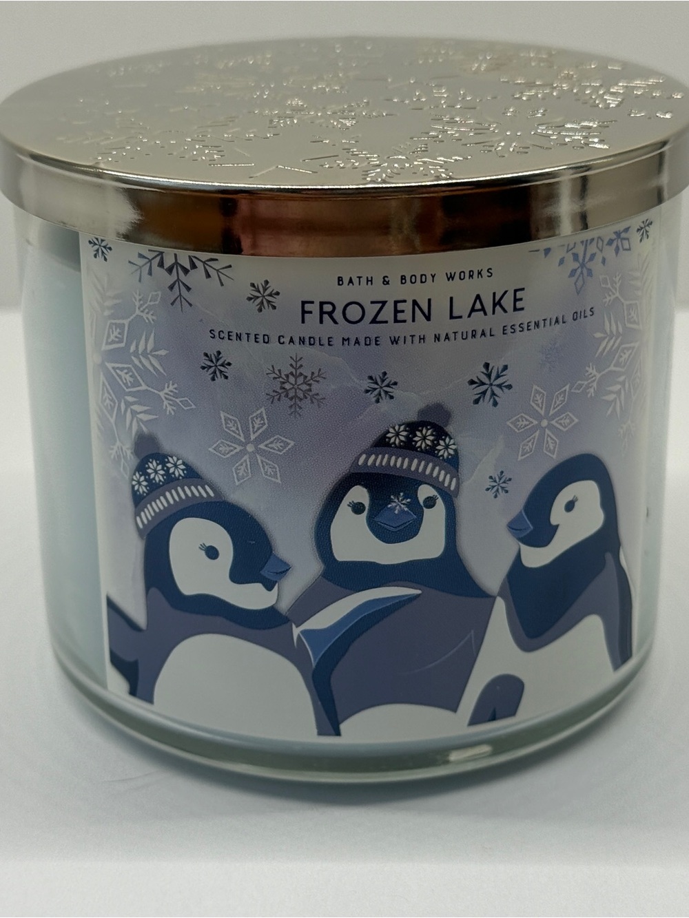 NEW Bath & Body Works Frozen Lake Scented Candle- Blue
